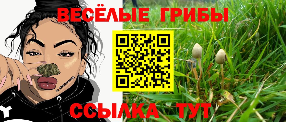 Галлюциногенные грибы Psilocybine cubensis  Вход с VPN  Заволжье 