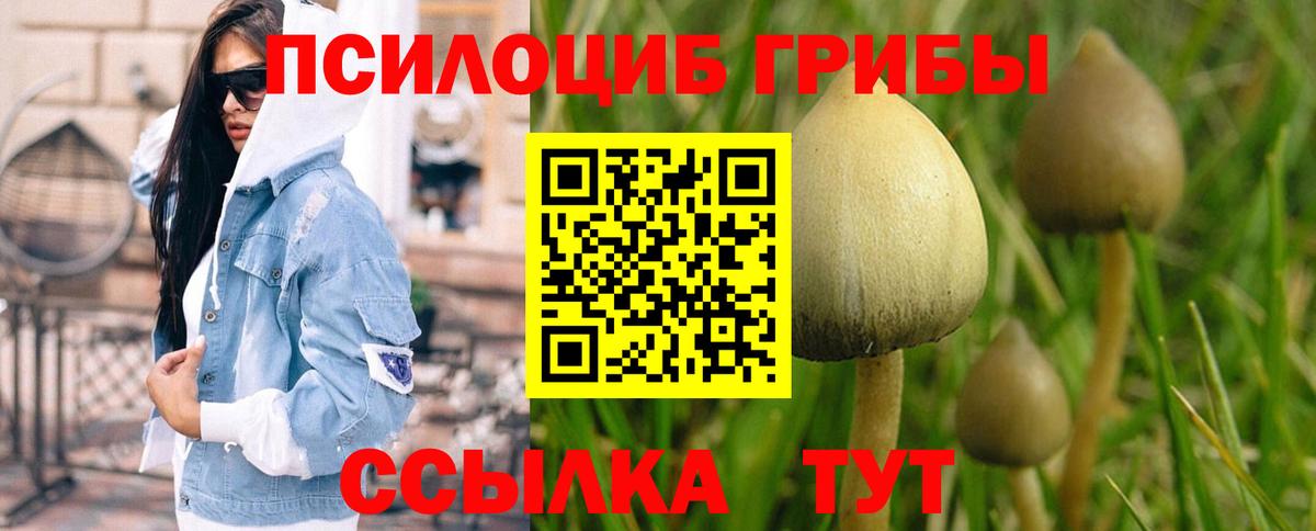 Псилоцибиновые грибы мухоморы Заволжье